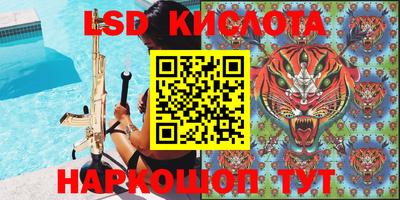 apvp Камышлов
