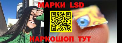 прущие грибы Кандалакша