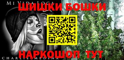 прущие грибы Кандалакша