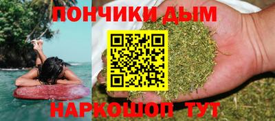 прущие грибы Кандалакша