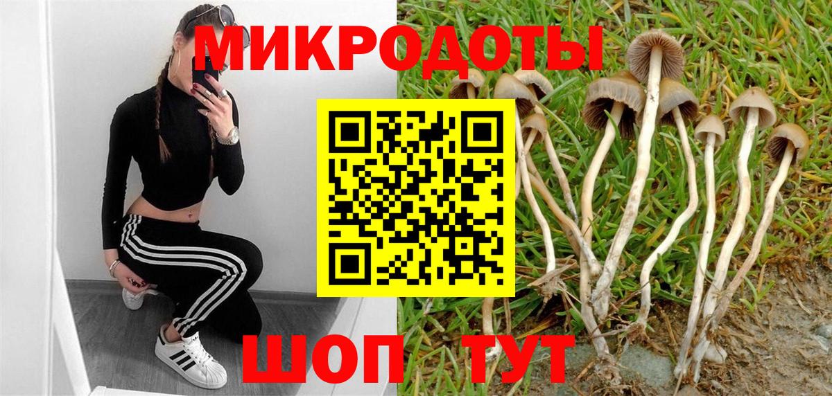Галлюциногенные грибы Psilocybe  как найти закладки  Галлюциногенные грибы Cubensis  Красноуфимск  Вход с VPN 